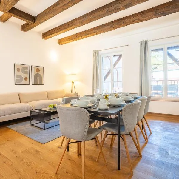 Spacious Apartment in Central Basel near Rhine - Special TOP LUX 24 Apartment, Basel, up to 8 guests, hotel in Bazel