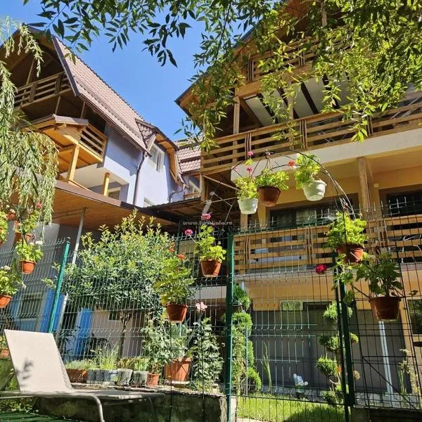 Pensiunea Aurora - Great hostel Voineasa, hotell sihtkohas Voineasa