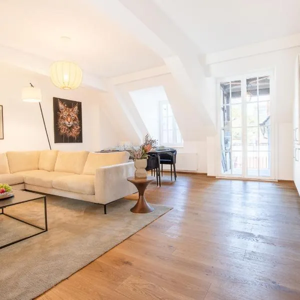 Spacious Apartment in Central Basel near Rhine - Special TOP LUX 34 Apartment, Basel, up to 8 guests, hotel in Bazel