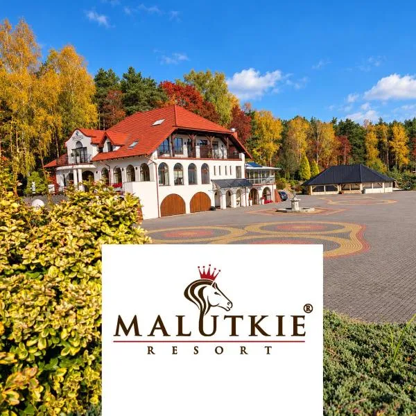 Malutkie Resort, hótel í Radomsko