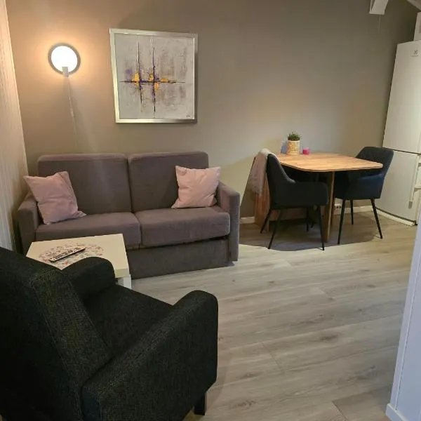 Airport Central Apartment, hotel en Alta