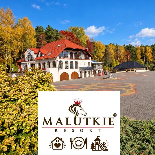 Malutkie Resort, hotel em Radomsko