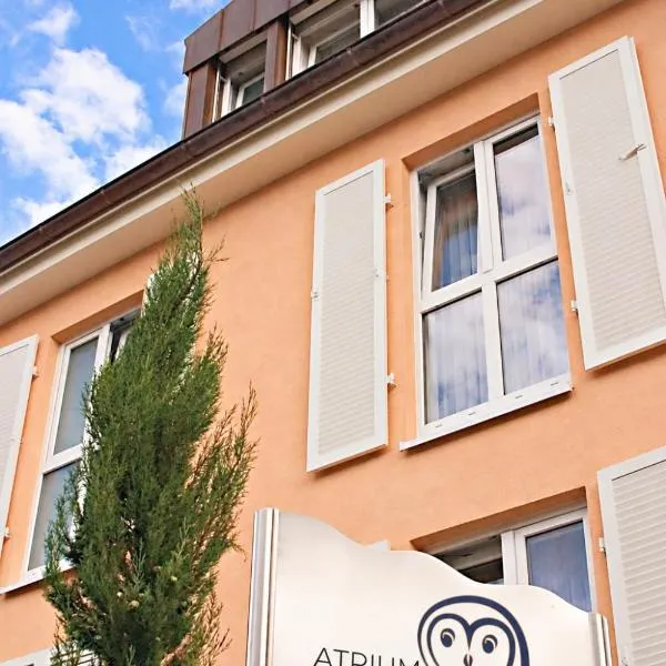 Atrium Hotel Baden,位于巴特克罗青根的酒店
