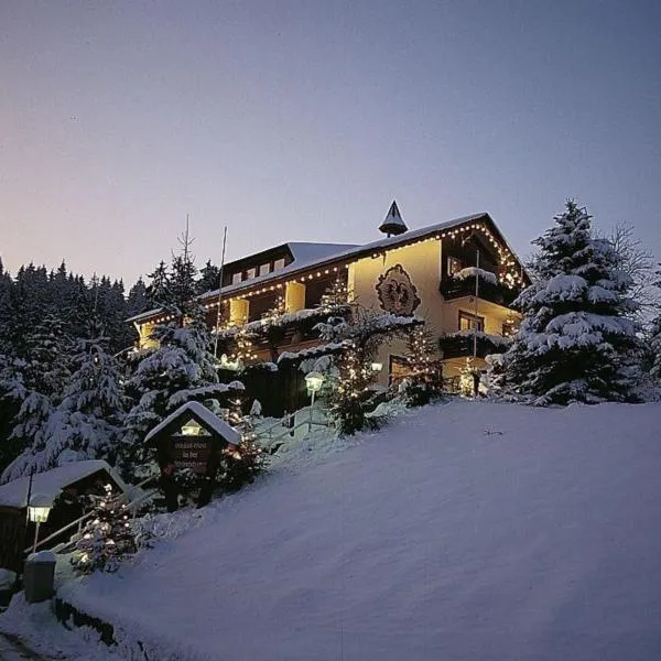 Hotel Adlerschanze, hotel v destinaci Schönwald