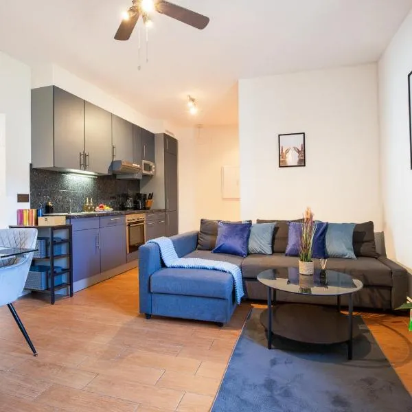 Spacious Apartment near Roche and Tinguely - Special ROGER F RABBIT 2 Apartment, Basel, up to 6 guests, hotel sa Basel