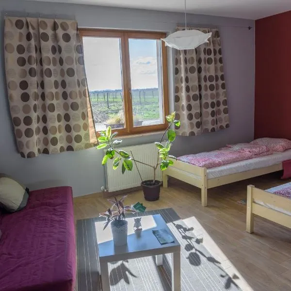 Centru de Recreere Kentaur, hotel in Dorolţ