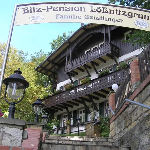 Bilz-Pension, hotel en Radebeul