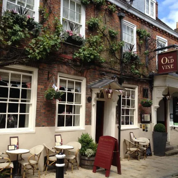 The Old Vine, hotel in Ovington