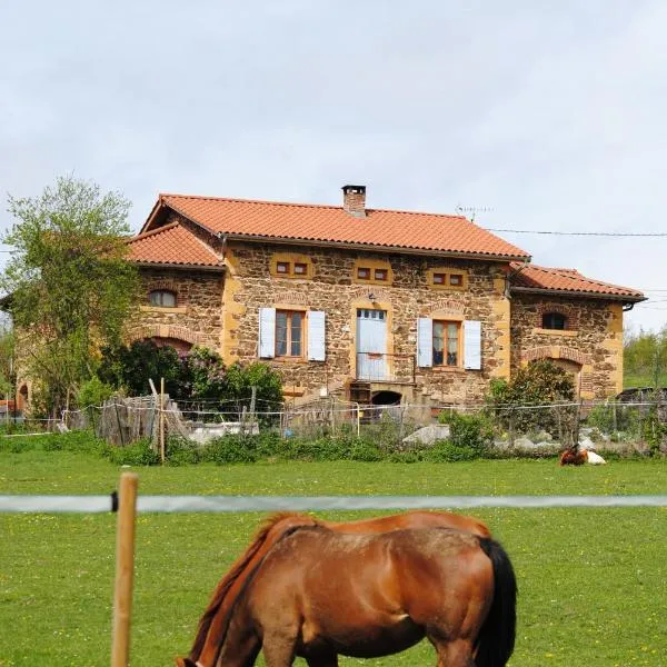 Domaine de la Poyat, viešbutis mieste Légny