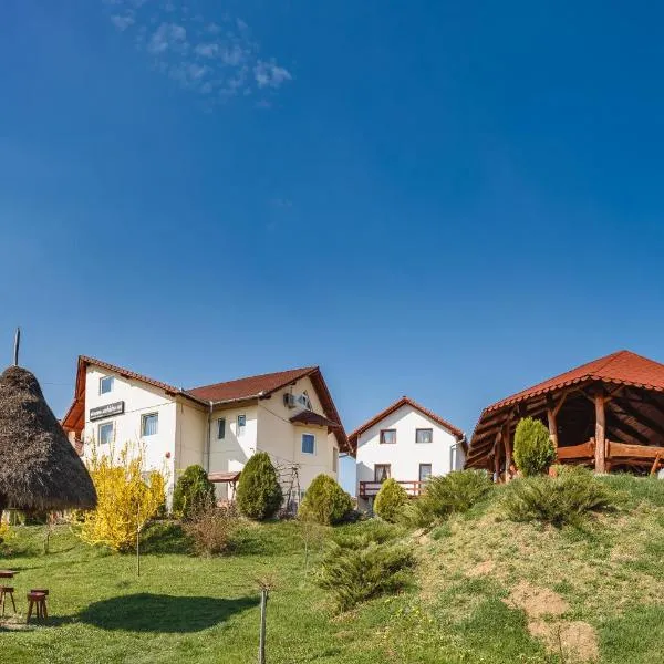 Pensiunea Faur, hotel in Sebeş