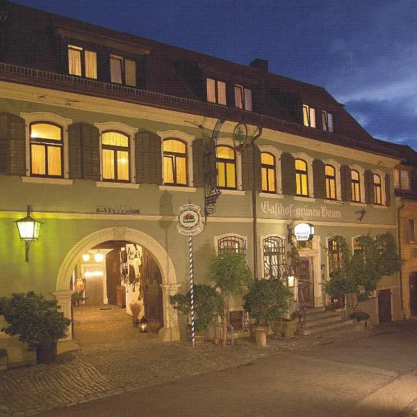 Gasthof Grüner Baum, hôtel à Dettelbach