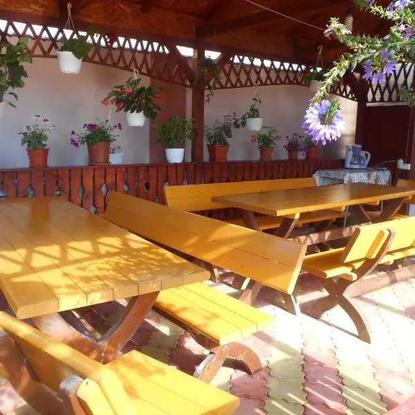 Vila MariCris, hotel en Tuzla