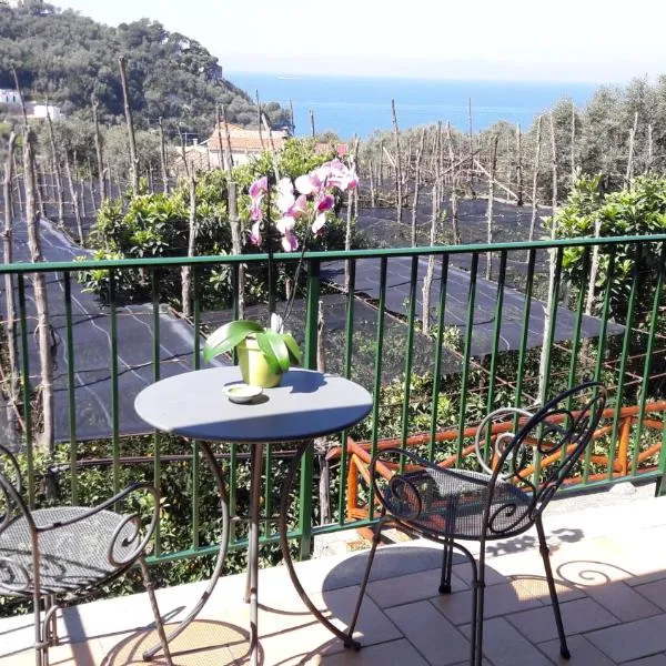 Agriturismo La Lobra, hotel v destinaci Massa Lubrense