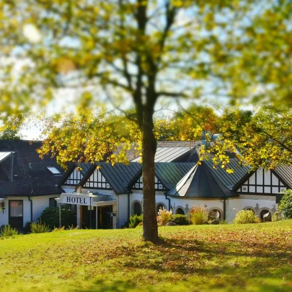 Hotel Reiterhof, hotel in Wirsberg