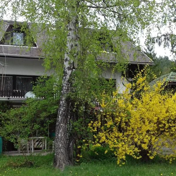 Sára Apartman Parádfürdő, hotel Parádon