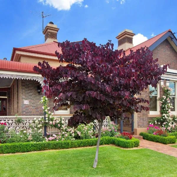 Loloma Bed and Breakfast, hotel di Armidale