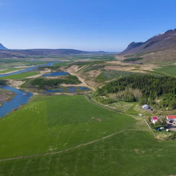 Guesthouse Hof in Vatnsdalur, hotel en Víðigerði