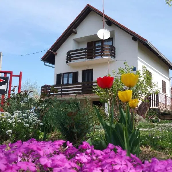 Apartment Ankica, hotel din Seliste Dreznicko