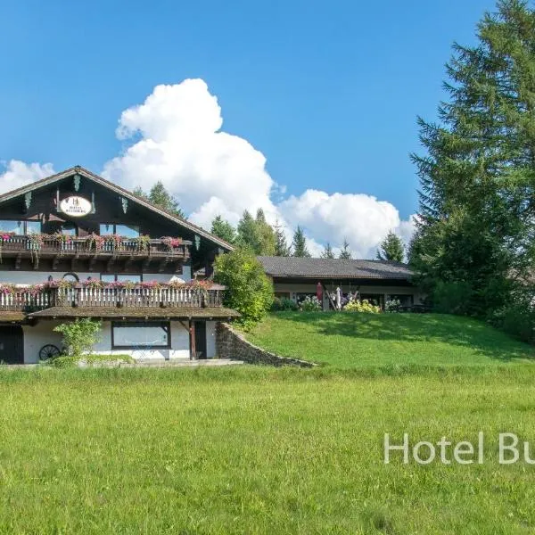 Hotel Buchberg, hotel in Stadlern