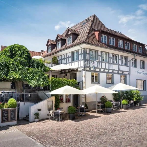 Hotel Guter Tropfen, hotel in Hagnau