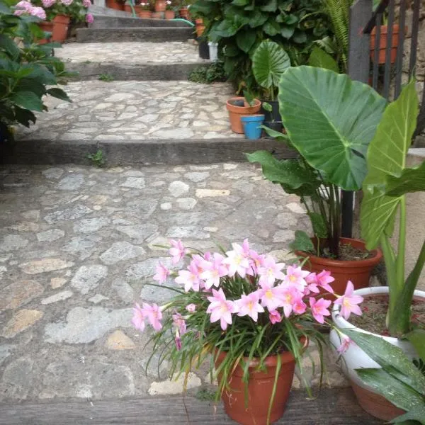 Apartamentos Anateresa, hotel v destinaci Mogarraz