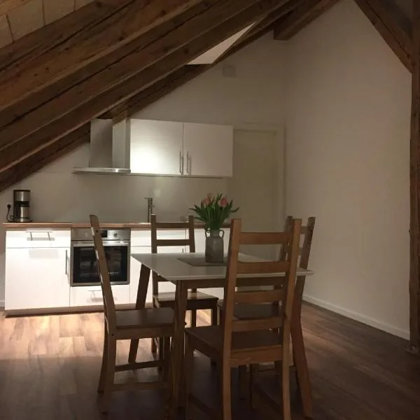 Ferienwohnung am Herzogspark, hotel in Regensburg