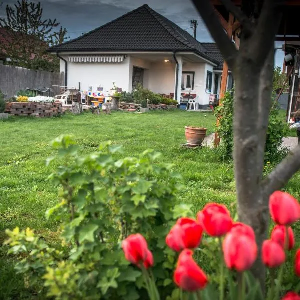 Big Garden House, hotel v destinaci Dunajská Streda