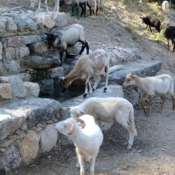 Les Bergeries "Le figuier", hotel v destinaci Omessa