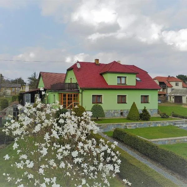 Apartmán Vysočina, khách sạn ở Zvole