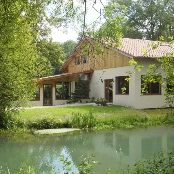 LOGIS Hôtel Le Chantoiseau, hotel in Chaumont-sur-Aire