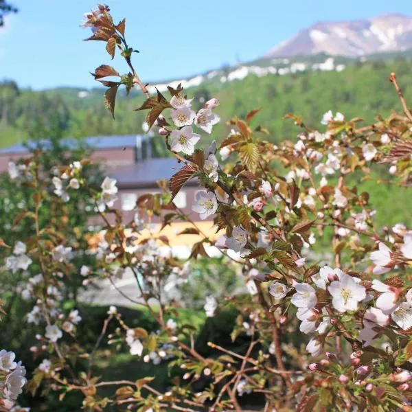 Higashikawa Asahidake Onsen Hotel Bear Monte, hótel í Higashikawa