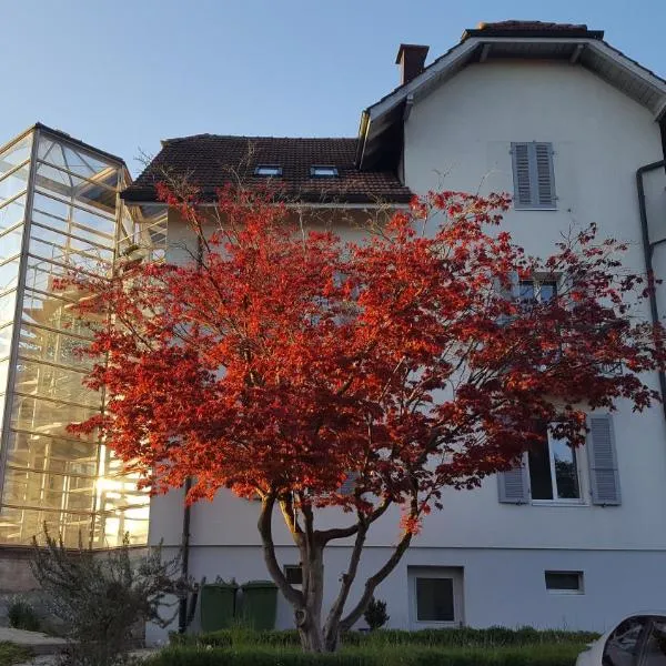 Casa Carmela, hotel v destinaci Solothurn