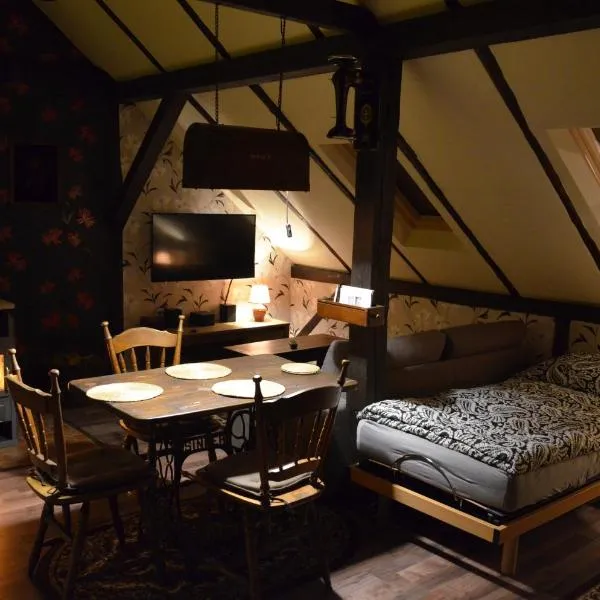 Mlýn Isabellental - Isabellino údolí, hotel ve Stříbře