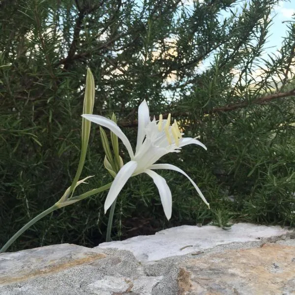 Ca' di Bianca, hotelli kohteessa Moneglia