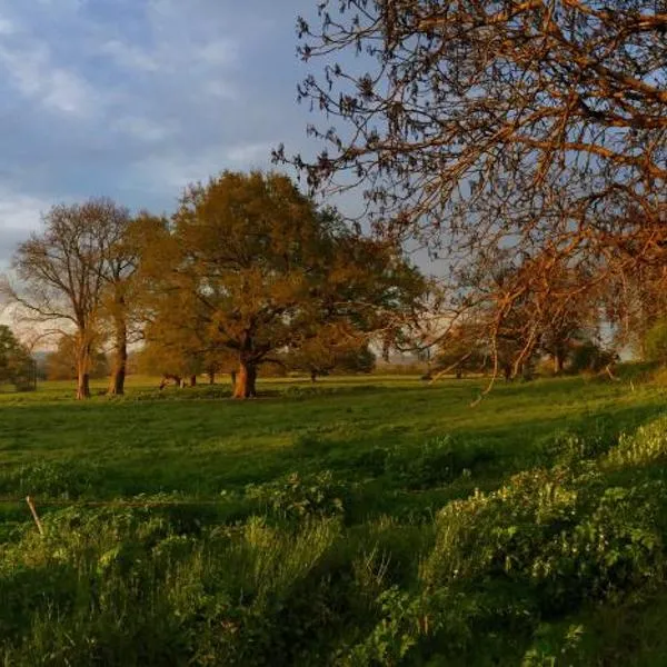 Viesnīca Chambre d'hotes Ferme de la Forlonge pilsētā Bussières