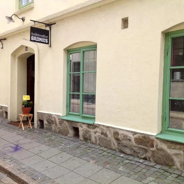 Brunius Guesthouse, hotel in Lund