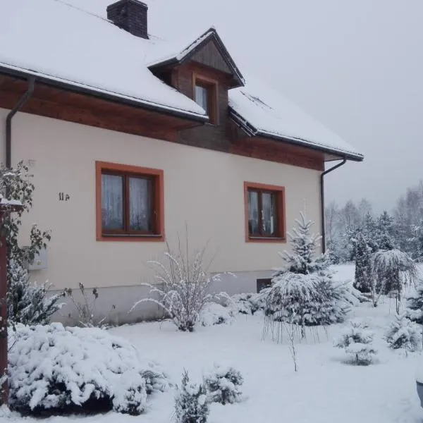 Agroturystyka Pod Bocianim Gniazdem, hotel v destinaci Morgowniki