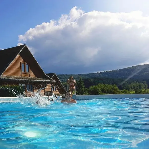 Bieszczadzki Ośrodek Wypoczynkowo Konferencyjny DANFARM, Hotel in Ustrzyki Dolne