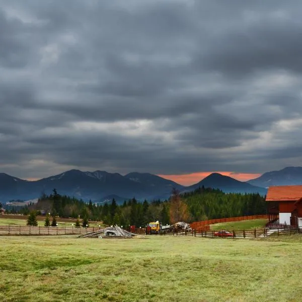 Pensiunea Zana Muntilor, hotel v destinácii Piatra Fantanele