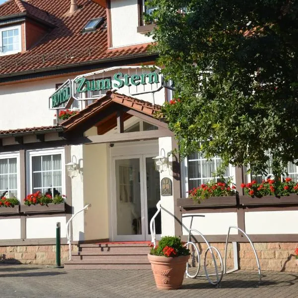 Parkhotel zum Stern, hotel in Breitenbach am Herzberg