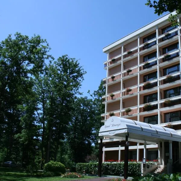 Le Grand Monarque, hotel in Bois-le-Roi