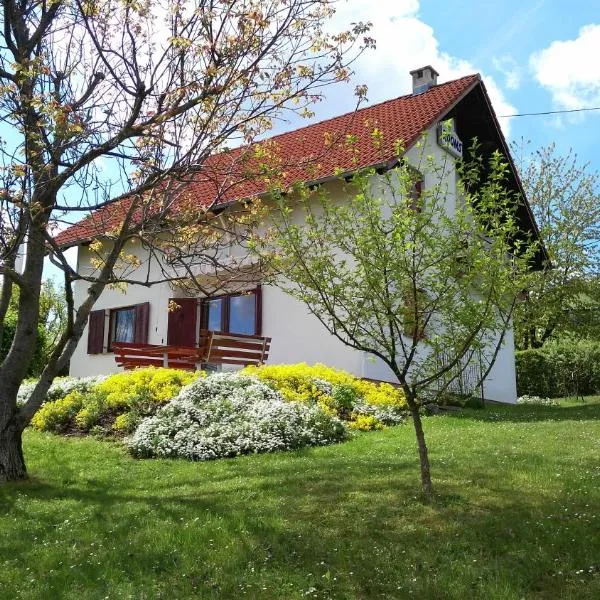Guest House Kolić، فندق في Drežnik Grad