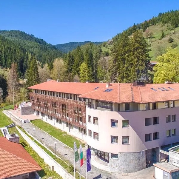 Borika Hotel, hotel v destinaci Čepelare