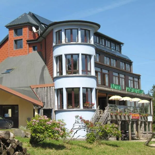 Les Terrasses du Lac Blanc - Studios & Appartements, hotel en Le Bonhomme