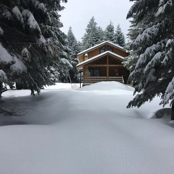 Uludag Orman Koskleri, отель в Улудаге