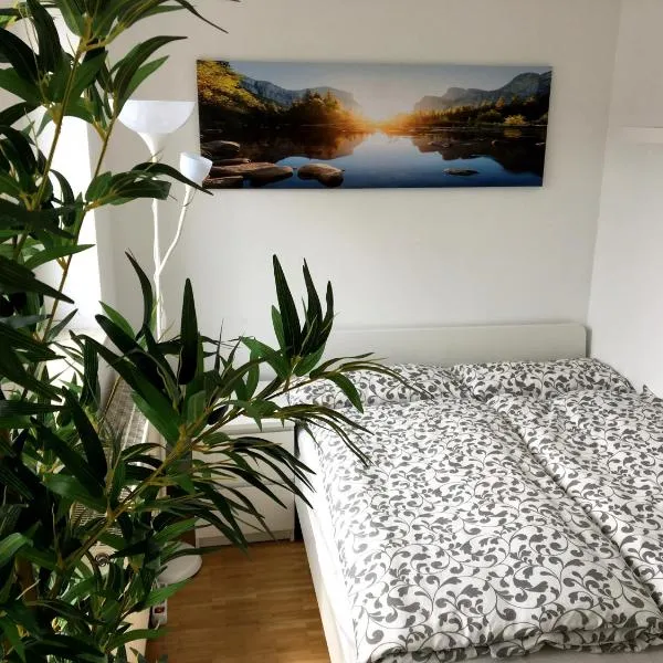 Apartment Downtown, hotel in Regensburg