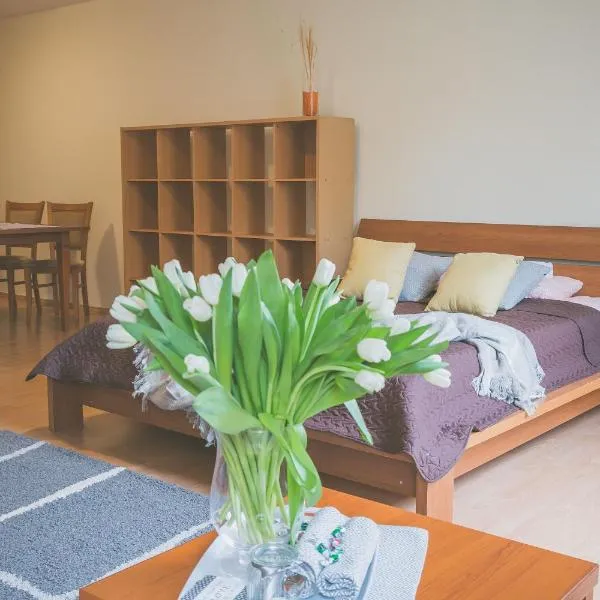 Apartamenty przy Zamku, hotel en Wójtowo