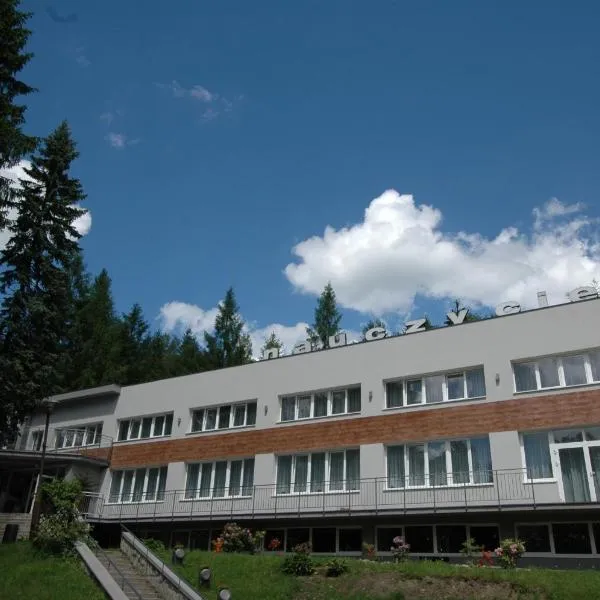 ZNP ZG Dom Wypoczynkowy Nauczyciel, hotel en Ustroń
