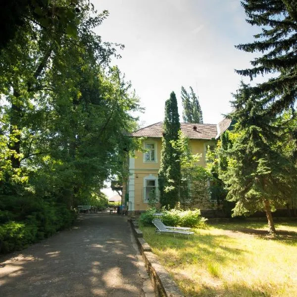 Bendegúz Villa, hotel v destinaci Balatonföldvár