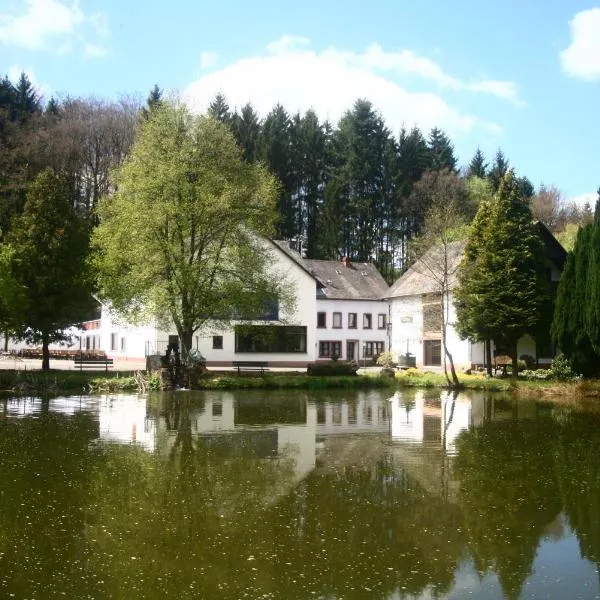 Bescheider Mühle, hotel in Malborn